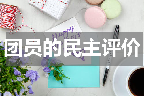 团员的民主评价