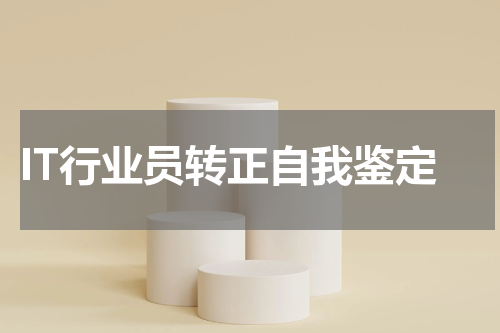 IT行业员转正自我鉴定