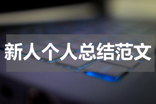 新人个人总结范文