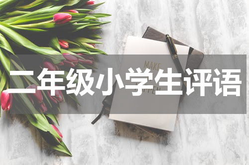 二年级小学生评语