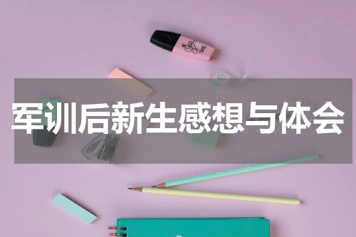 军训后新生感想与体会