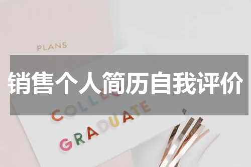销售个人简历自我评价