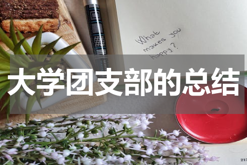 大学团支部的总结