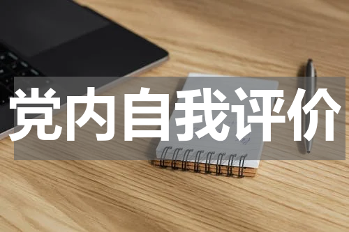 党内自我评价