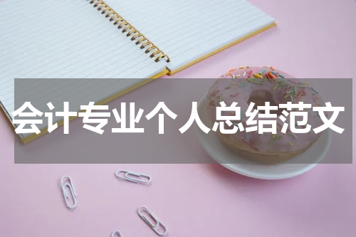 会计专业个人总结范文
