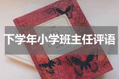 下学年小学班主任评语