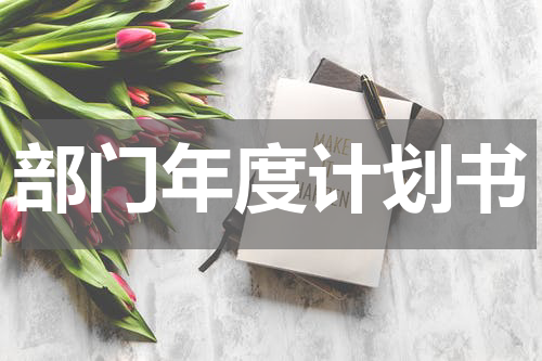 部门年度计划书