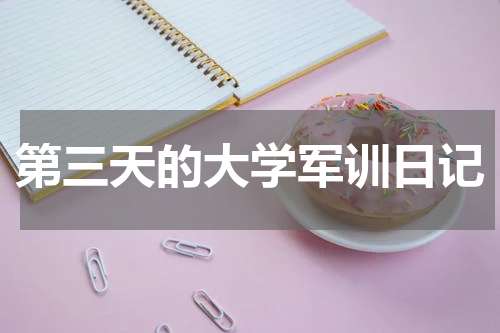 第三天的大学军训日记