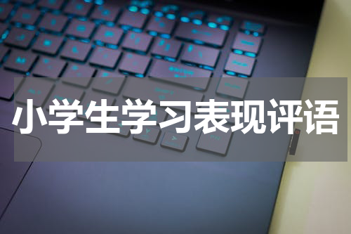 小学生学习表现评语