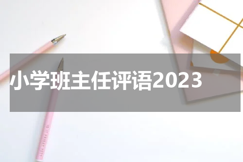 小学班主任评语2023