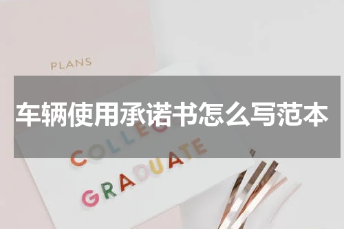 车辆使用承诺书怎么写范本