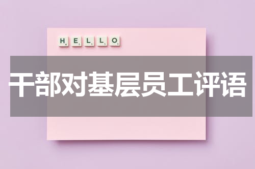 干部对基层员工评语