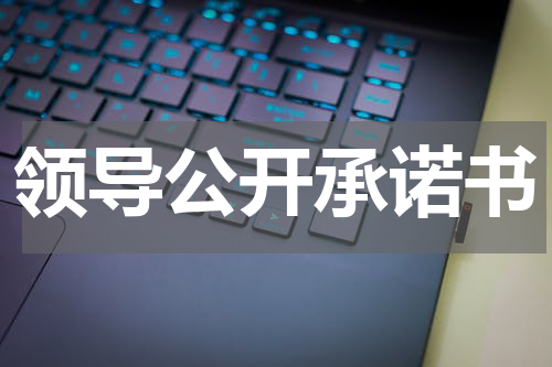 领导公开承诺书