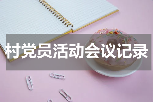 村党员活动会议记录