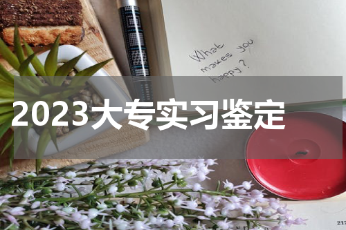 2023大专实习鉴定