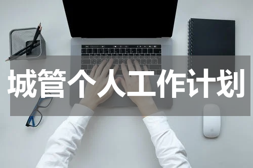 城管个人工作计划