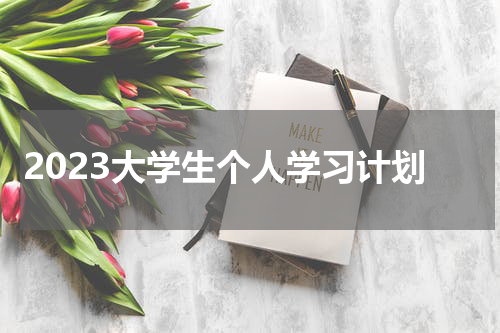2023大学生个人学习计划
