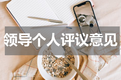 领导个人评议意见