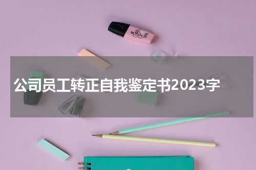 公司员工转正自我鉴定书2023字