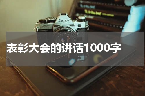表彰大会的讲话1000字