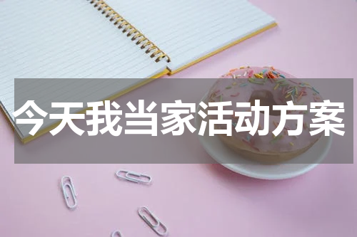 今天我当家活动方案
