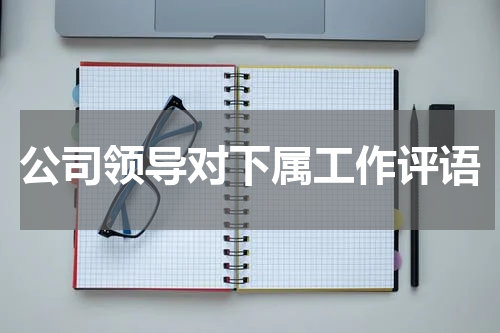 公司领导对下属工作评语