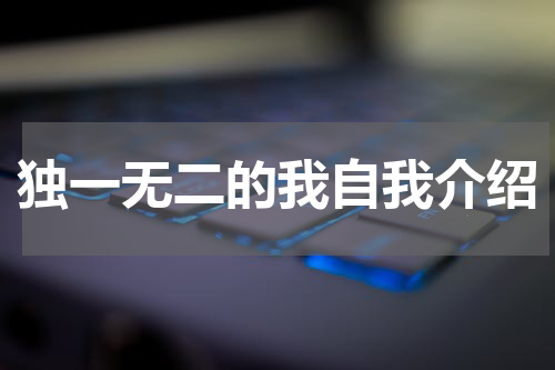 独一无二的我自我介绍