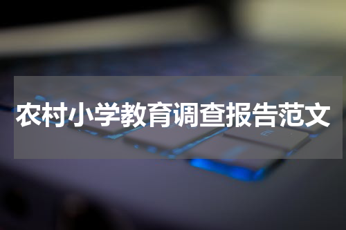 农村小学教育调查报告范文