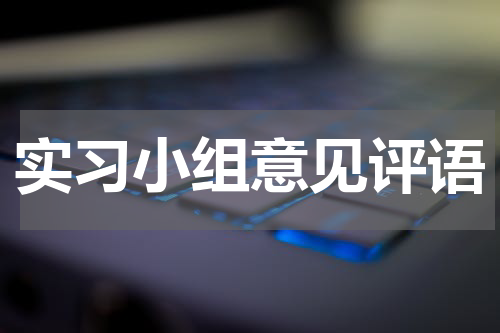 实习小组意见评语