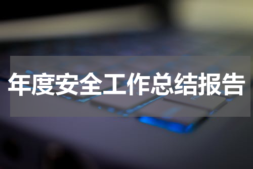 年度安全工作总结报告