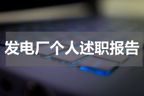 发电厂个人述职报告