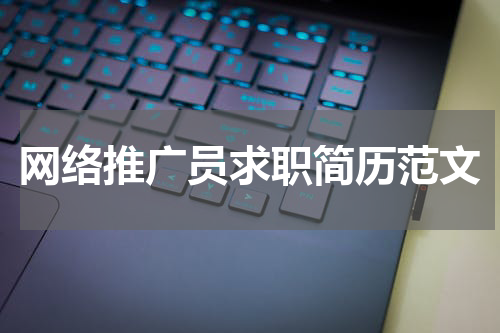 网络推广员求职简历范文