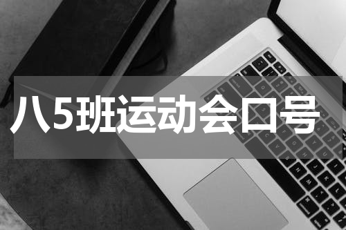 八5班运动会口号