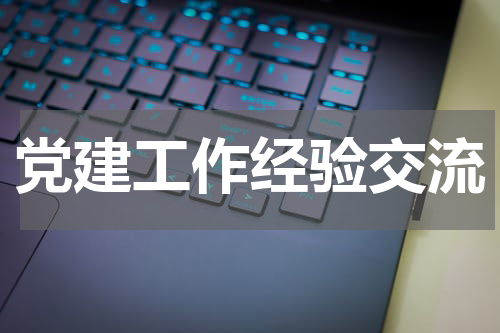 党建工作经验交流