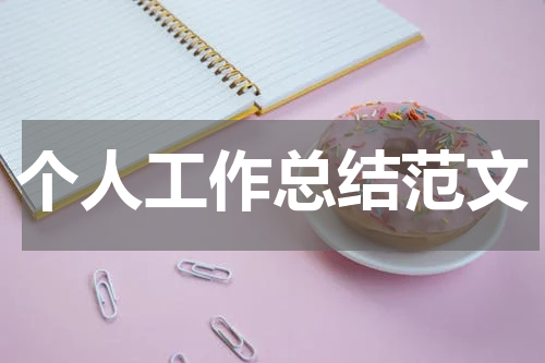 个人工作总结范文