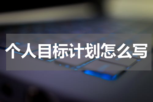 个人目标计划怎么写