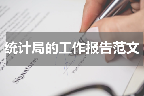 统计局的工作报告范文