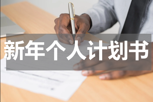 新年个人计划书