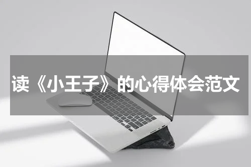 读《小王子》的心得体会范文
