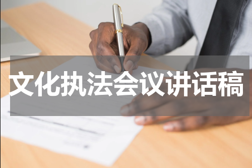 文化执法会议讲话稿