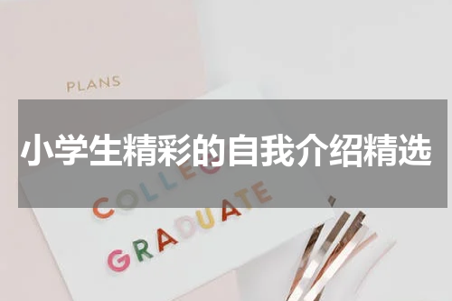 小学生精彩的自我介绍精选