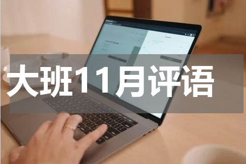 大班11月评语