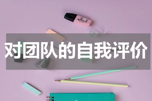 对团队的自我评价