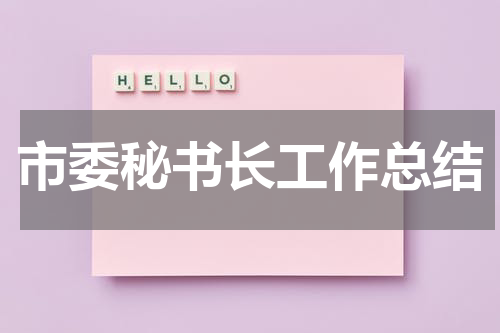 市委秘书长工作总结