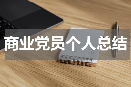 商业党员个人总结