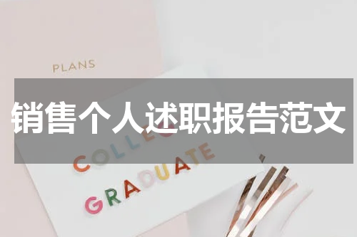 销售个人述职报告范文