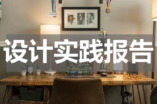 设计实践报告