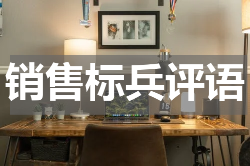 销售标兵评语