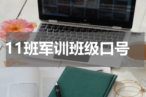 11班军训班级口号