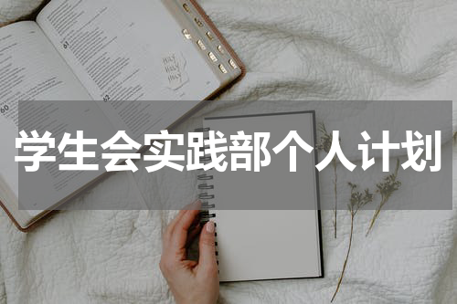学生会实践部个人计划